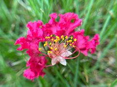 -杭州城北体育公园