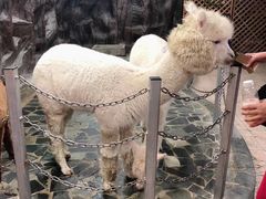 -上海大自然野生昆虫馆(东方明珠·爬宠昆虫探索中心)