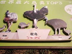 -沈阳森林动物园