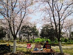 -径山花海