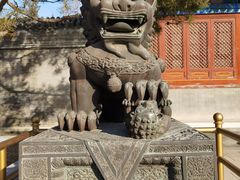 -颐和园