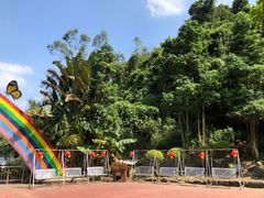 -水濂山森林公园