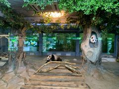 -海南热带野生动植物园