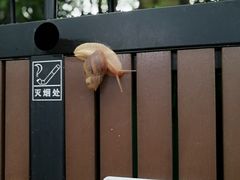 -南宁南湖公园