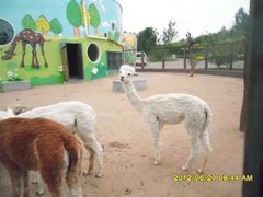 -鄂尔多斯野生动物园