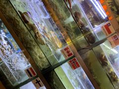-桥东喜碧海鲜街(水东街店)