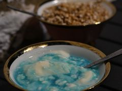 -古树酸奶(八廓南街店)
