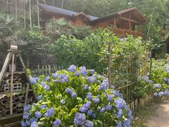 -丹山赤水风景名胜区