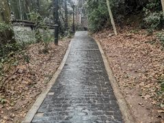 -岳麓山风景名胜区