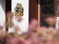 -悦哉·派对·草坪婚礼·围炉煮茶(三圣乡店)