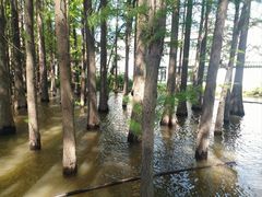 -采石矶景区