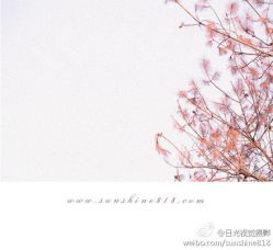 5c4d23d3gw1el9es9sqgwj20i20gk428-日光视觉婚纱摄影(旗舰店)