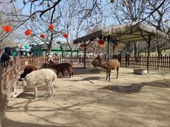 -西安秦岭野生动物园