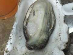 海蛎子-牛叔鲜羊肉铜火锅(远东小区店)