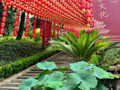 -超山青莲寺