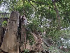 -乌山风景区