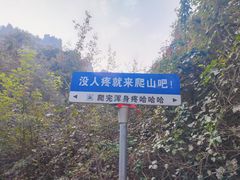 -青龙山生态文化旅游区(慈云寺)