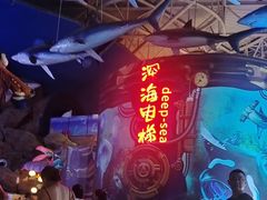 -烟台海昌鲸鲨海洋公园