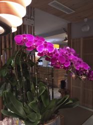 点击看大图 -花隐瑜伽·普拉提·红绳