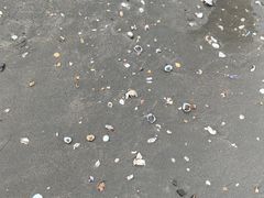 -万尾金滩