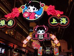 -老桐椿 · 上海大馄饨