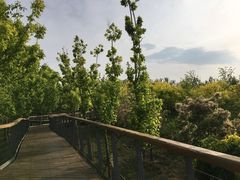 -东郊湿地公园