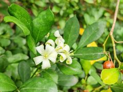 -冰泉豆浆馆(白云山总店)