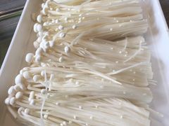 烤金针菇-完美生活炭火烤肉(二马路店)