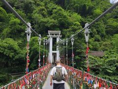 -西双版纳原始森林公园