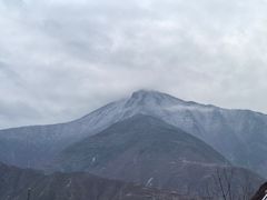 -金鼎雪山牦牛杂火锅(理县总店)