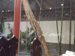 -阿西娅食府(中关村店)