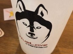 -TrueLove @ Neverland (Husky Cafe)