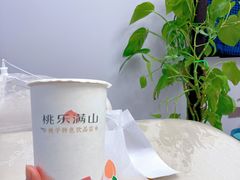 -桃乐满山(川沙百联店)