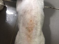 -沐沐家宠物(成寿寺店)