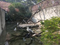-广州长隆飞鸟乐园