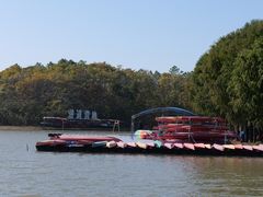 -上海海湾国家森林公园