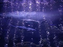 -荆州中山公园动物园