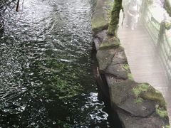 -青青世界
