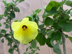 -万达广场(临港店)