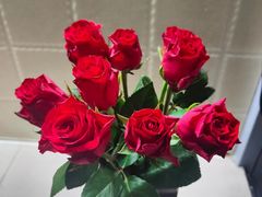 -卡漫莫尼蛋糕(徐汇店)