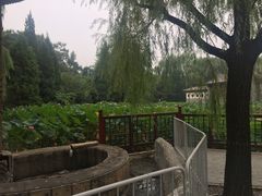 -大明幻境第一城