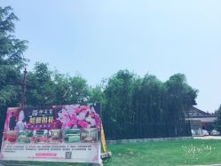 -御宴宫·宴会厅