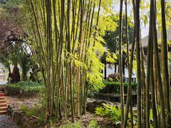 -抚仙湖万达文华酒店