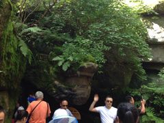 -汤旺河林海奇石景区