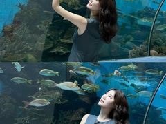-合肥海洋世界