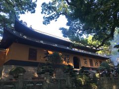 -普陀山风景名胜区-法雨禅寺
