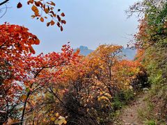 -秦岭风景区