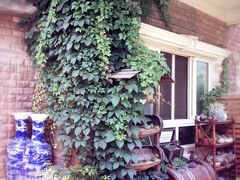 -漫渡庄绿岛花园•隐世庭园菜(滨湖店)