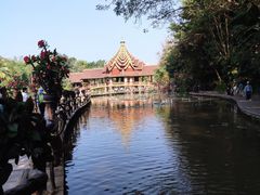 -曼听御花园