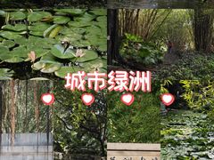 -晓港公园